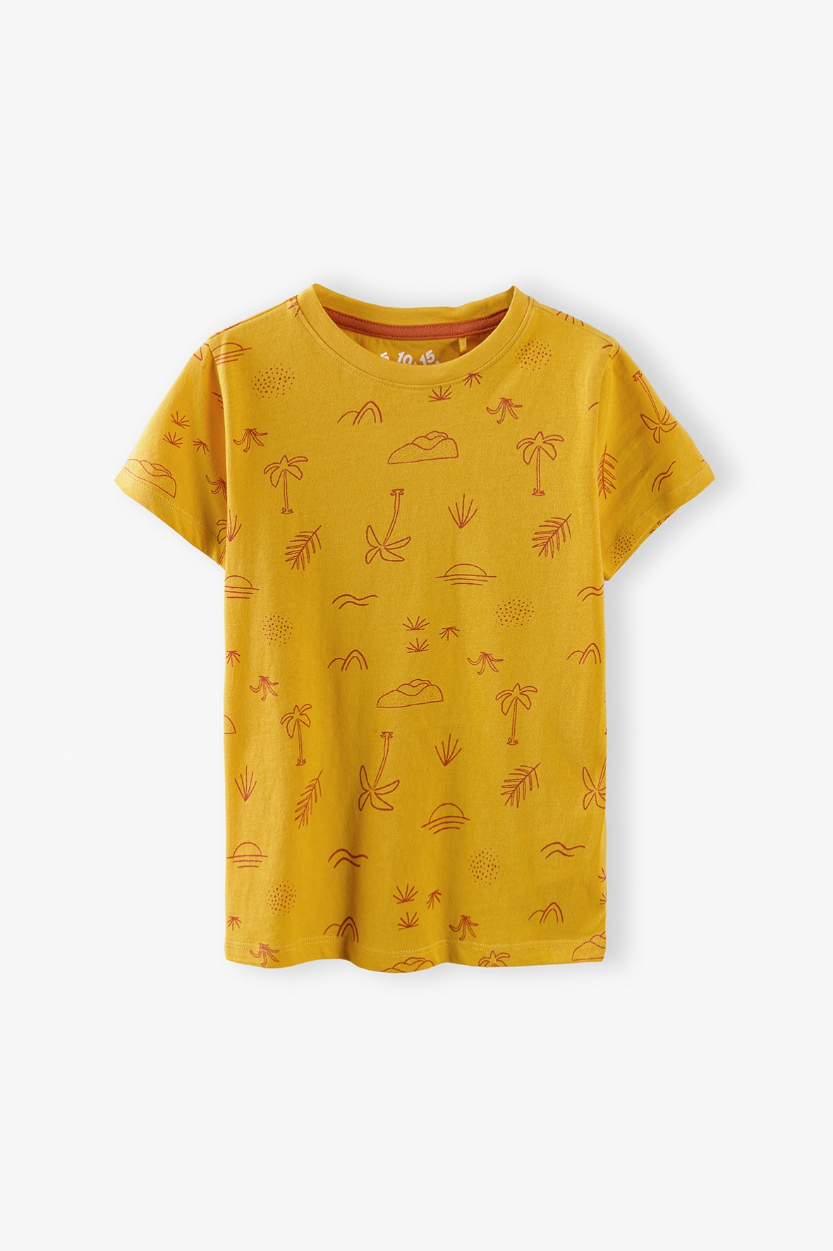 T-shirt chłopięcy bawełniany z wakacyjnymi nadrukami