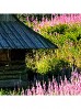 Puzzle 1000 elementów Gąsienicowa hall in Tatras