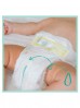 Pampers Premium Care, Rozmiar 2, 94 pieluszki 4-8kg