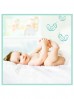 Pampers Premium Care 1 Newborn + 2 Mini- 146 szt