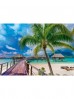 Puzzle TREFL PRIME 1000 elementów - Plaże Bora-Bora