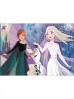 PUZZLE Z OZDOBAMI 104 EL Frozen 2