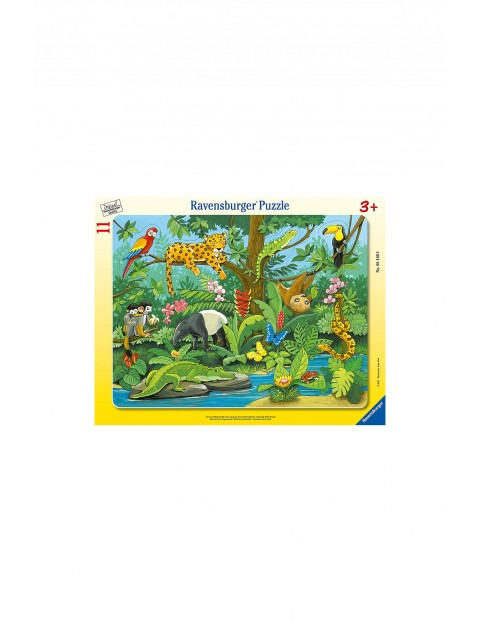 Puzzle dla dzieci 2D - co tu pasuje: Zwierzęta lasu deszczowego - 11 elementów wiek 3+