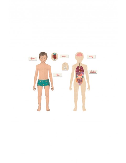 Montessori ciało ludzkie Clementoni wiek 3+