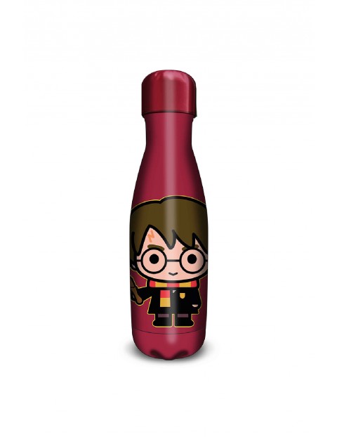 Termos Harry Potter 500ml z Harrym